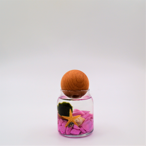  istanbul marimo siparişi Şans Getiren Marimo Pink T